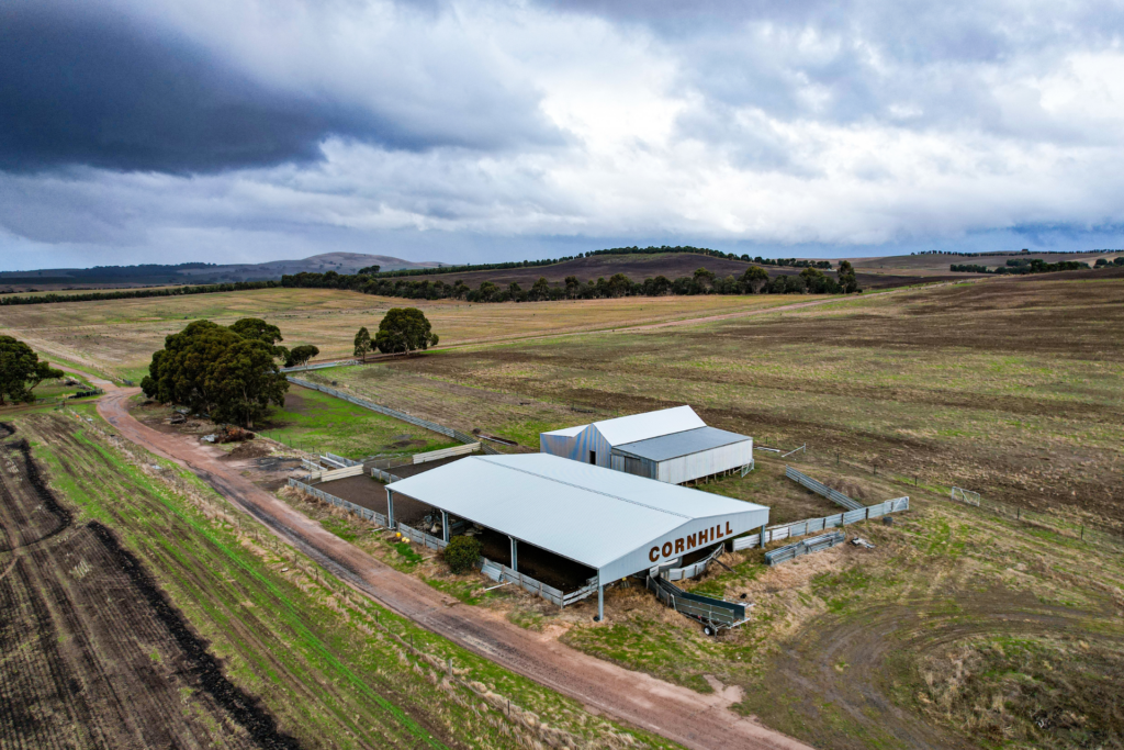 A 27m x 18m x 3m sheep yard cover at Ballyrogan VIC