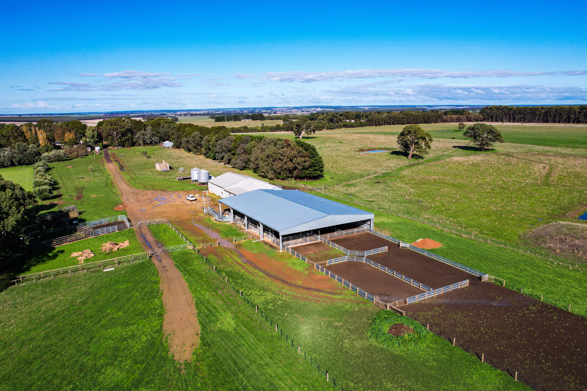 You are currently viewing 34m x 24m x 4.2m sheep yard cover
