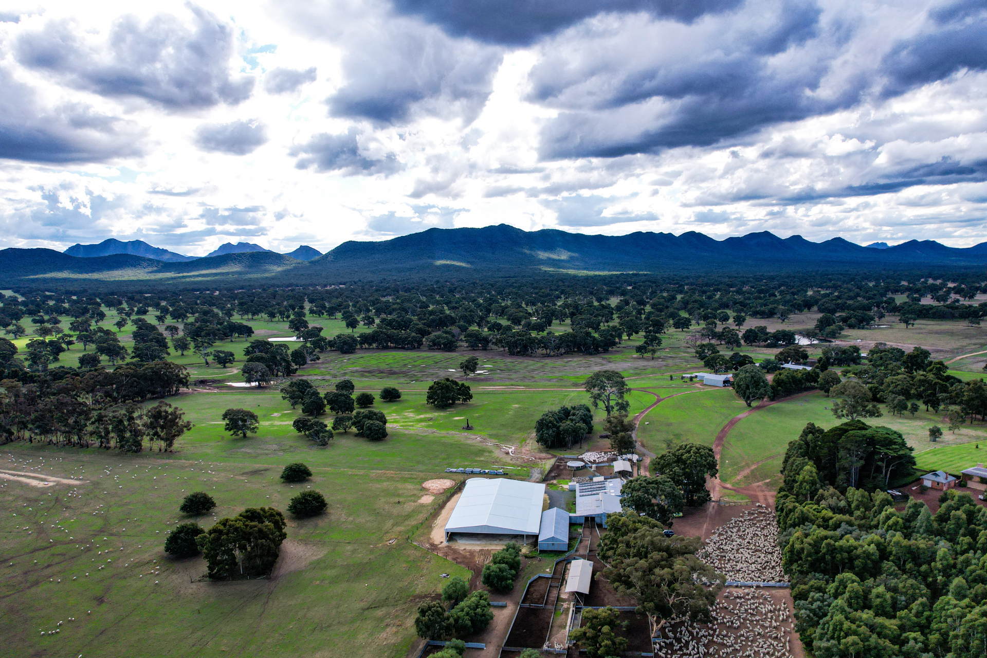 You are currently viewing 51m x 27m x 4.7m sheep yard cover