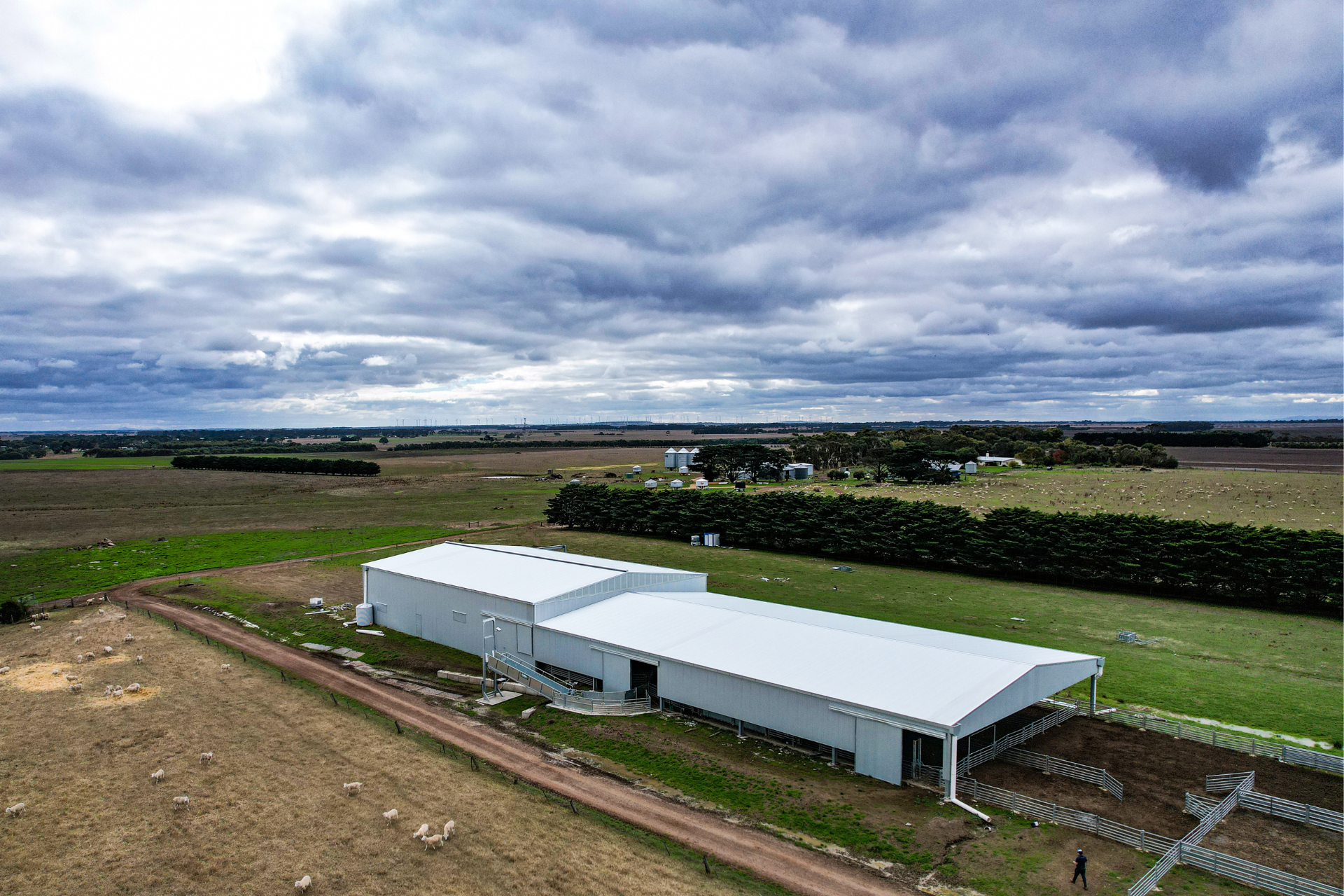 You are currently viewing 67.5m x 21m x 5.2m shearing shed complex