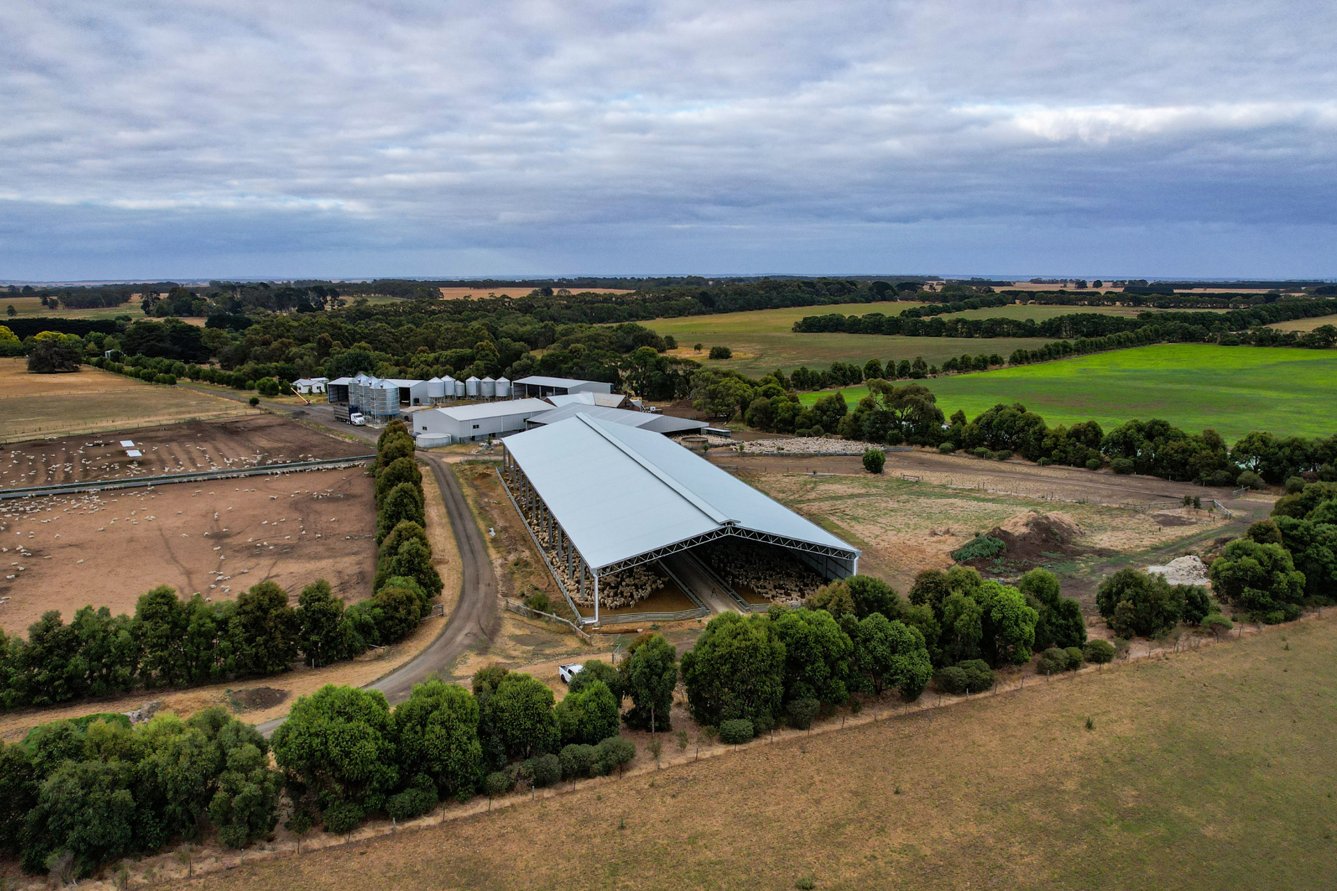 Lamb Feedlot Cover Project