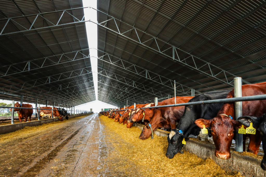 cost to cover feedpad