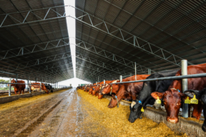 cost to cover feedpad