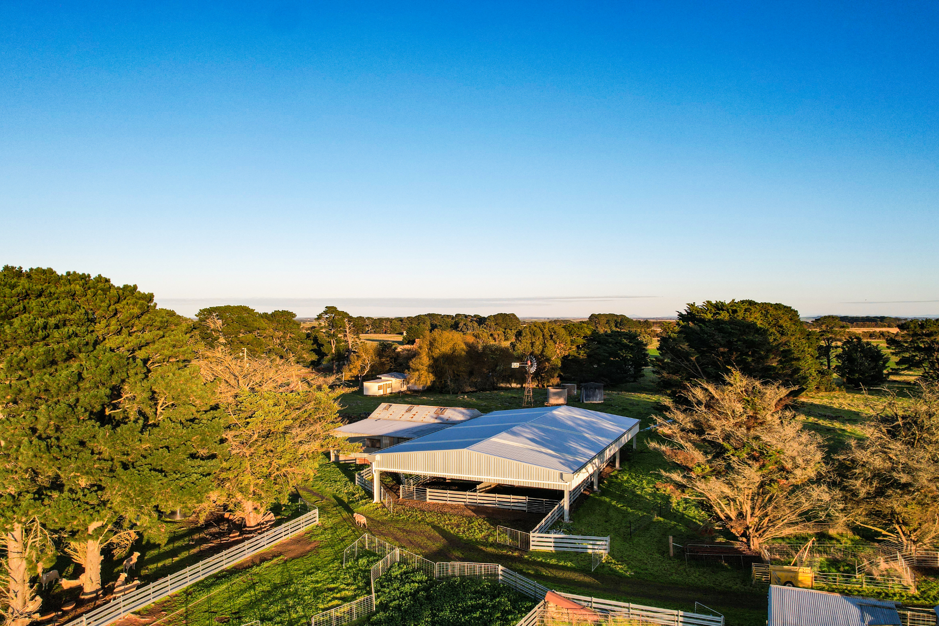 You are currently viewing 27m x 16m x 3m sheep yard cover