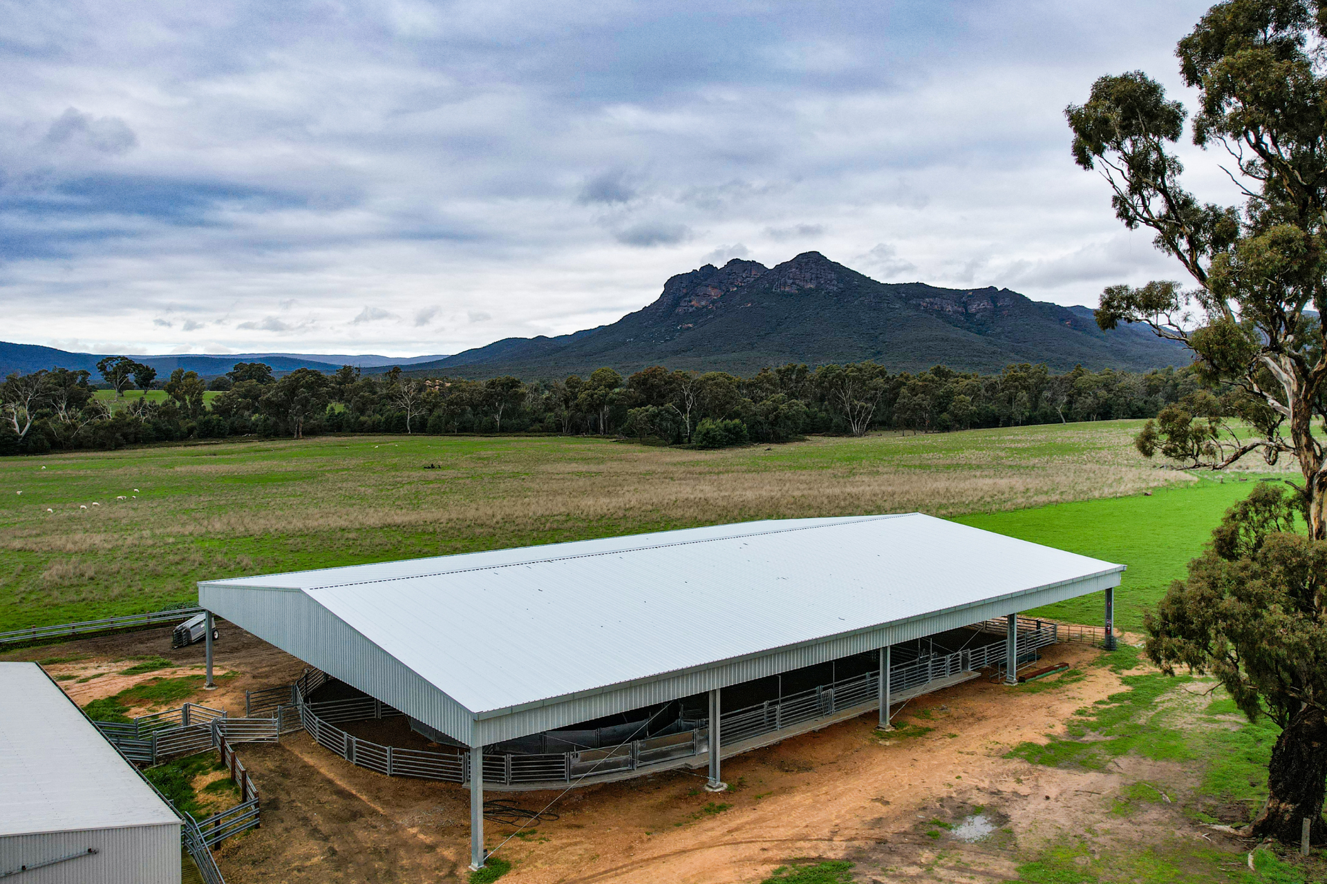 You are currently viewing 36m x 24m x 3.5m sheep yard cover