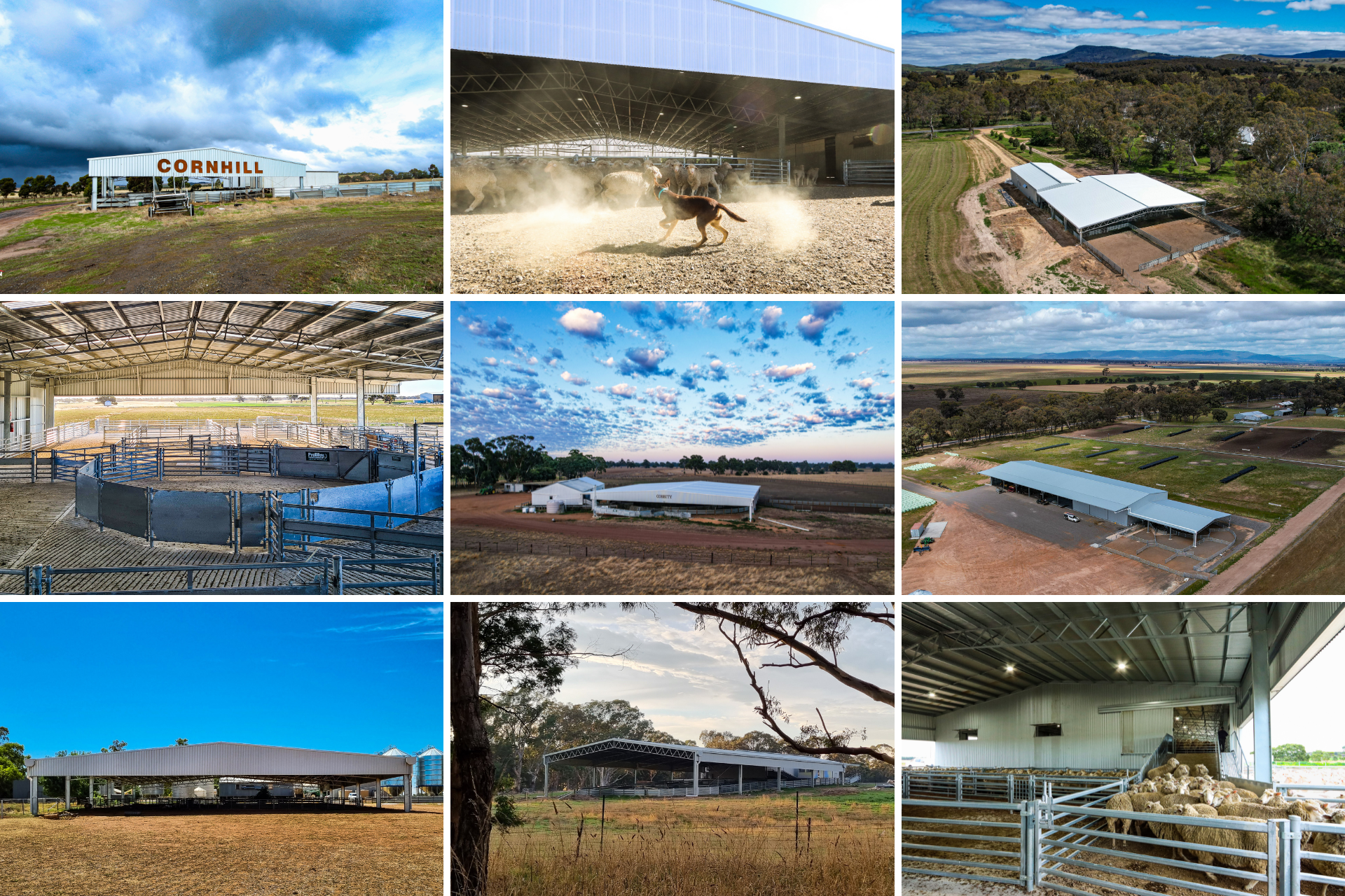 Covered sheep yards