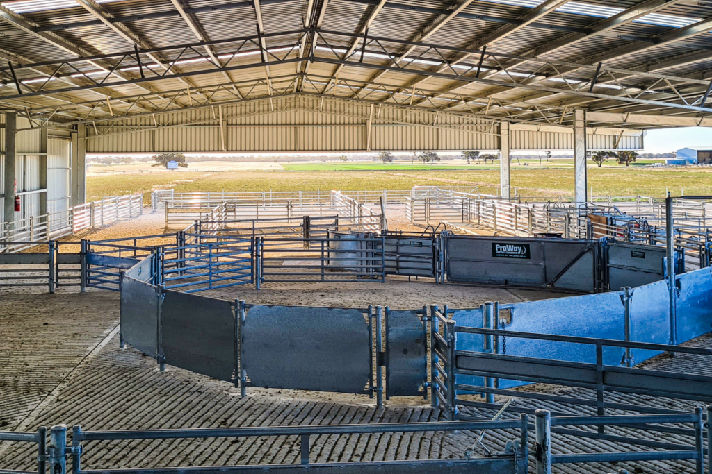 Ram Sale Shed and Sheep Yard Cover