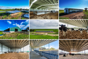9 Calving Shelters And Calf Sheds