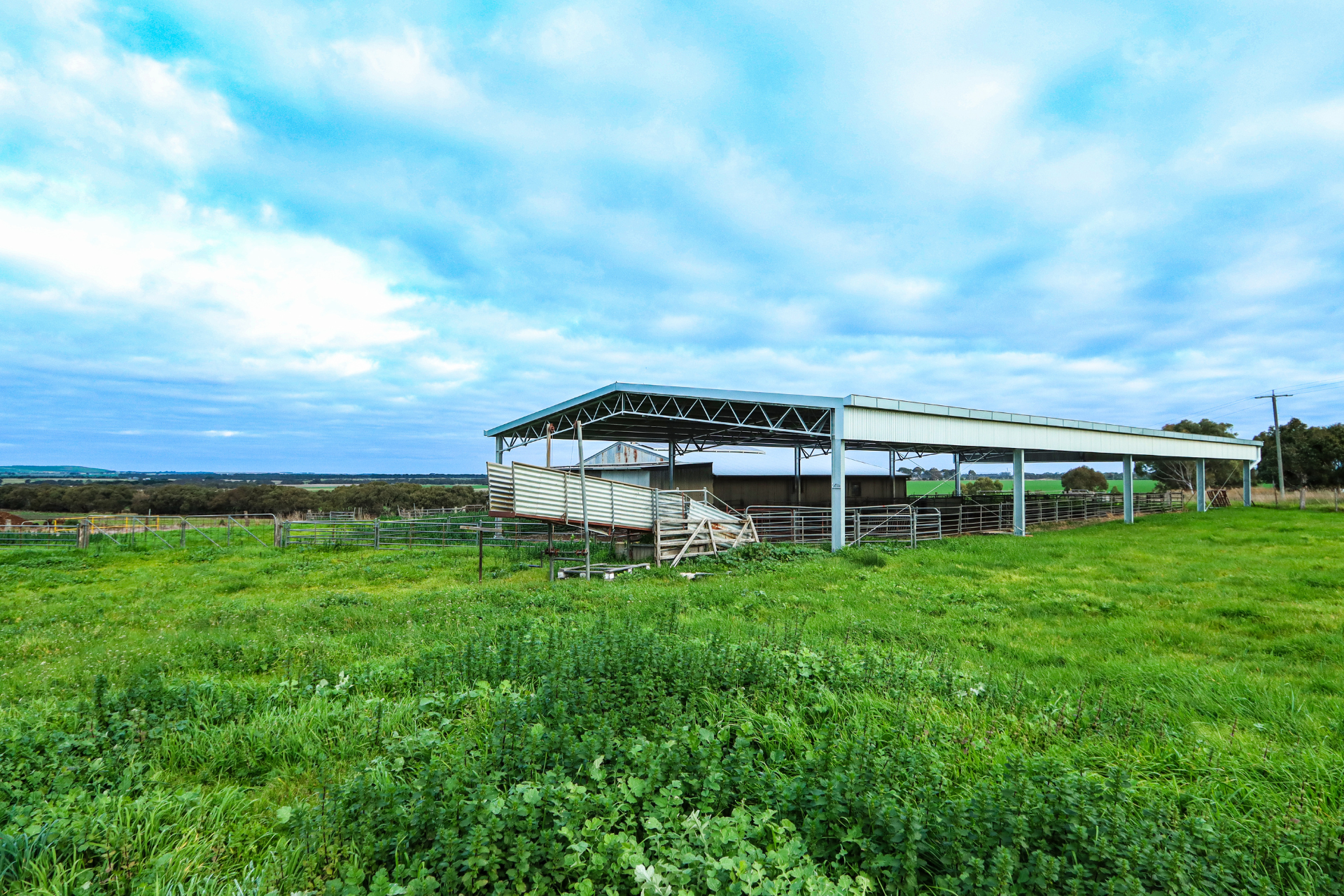 You are currently viewing 31m x 15m x 3m sheep yard cover