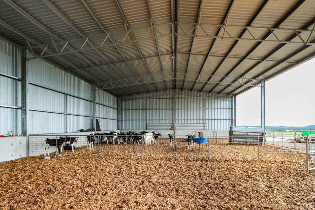 Concrete Panels For Calf Sheds