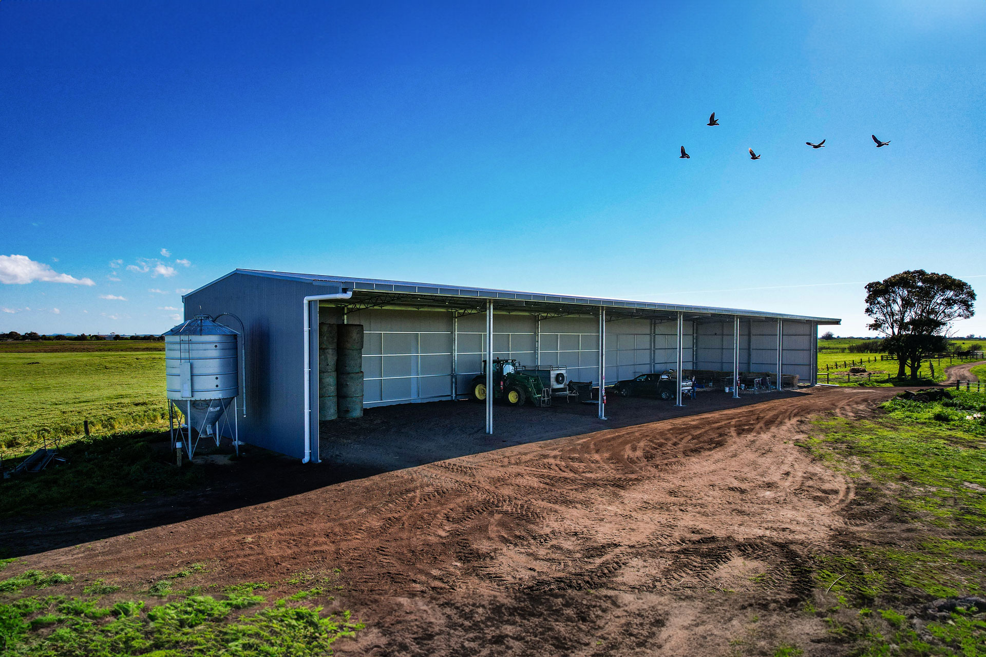 You are currently viewing 51m x 12m x 6m calving shed