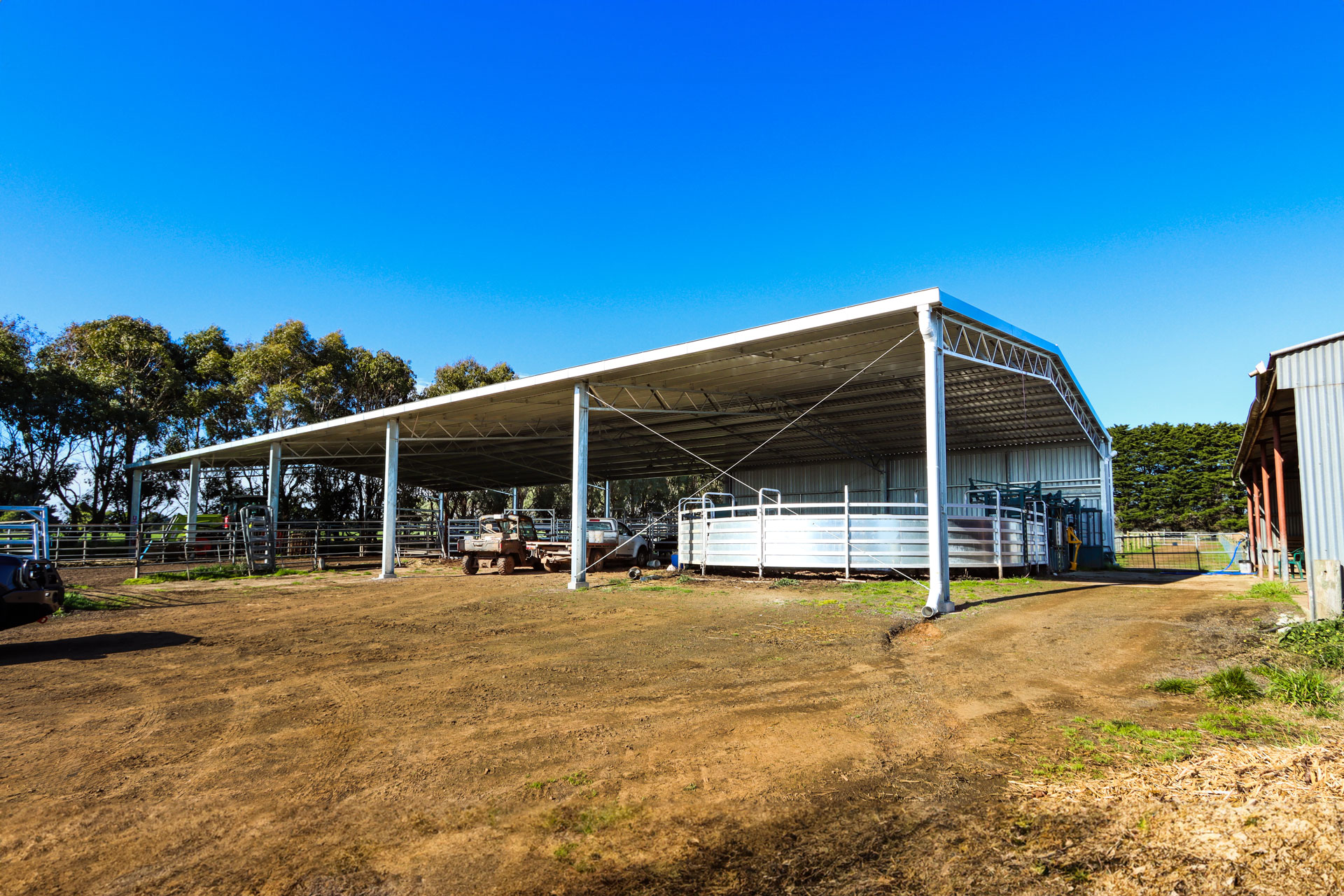 You are currently viewing 40m x 18m x 4m cattle yard cover