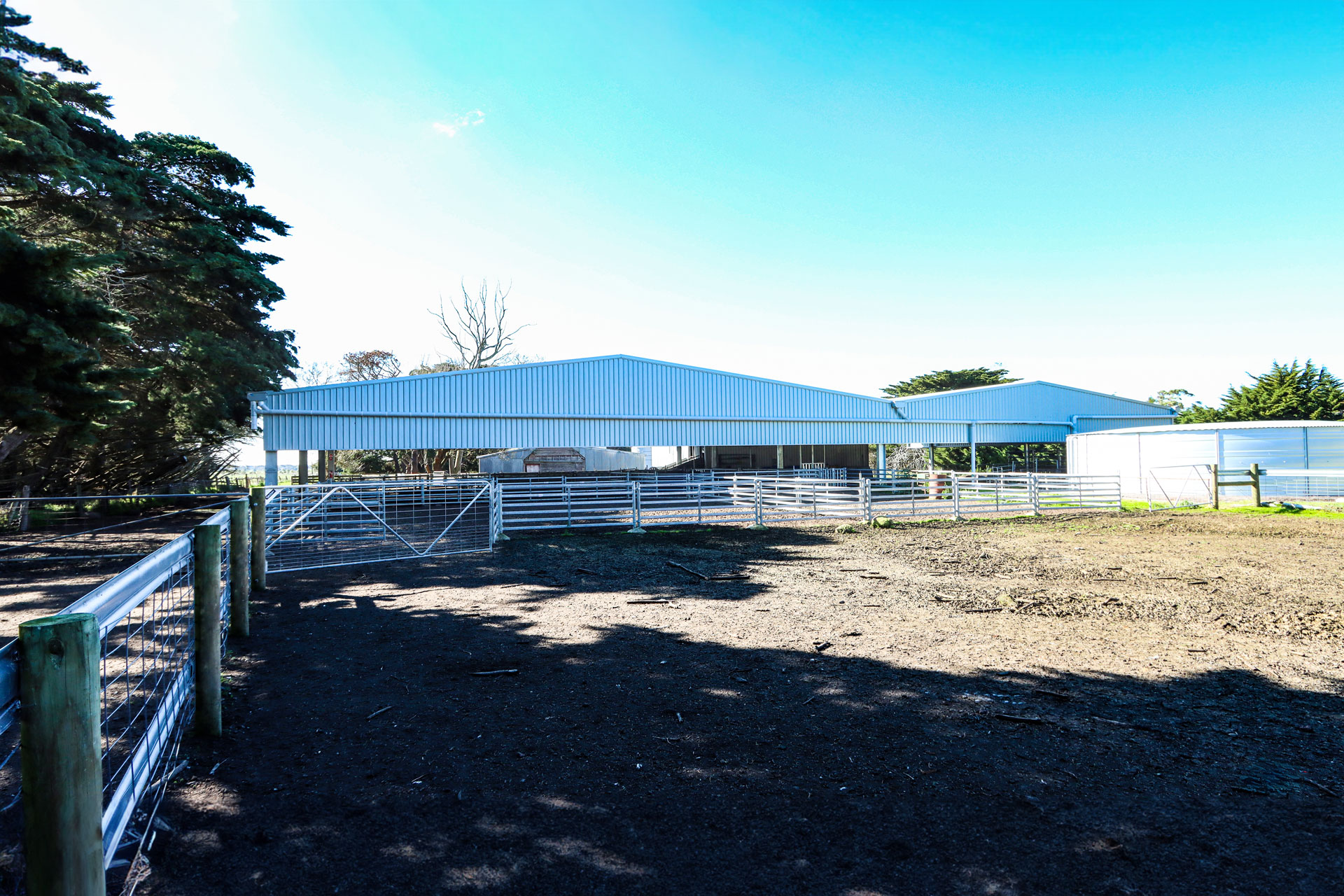 You are currently viewing 40m x 21m x 3.8m sheep yard cover