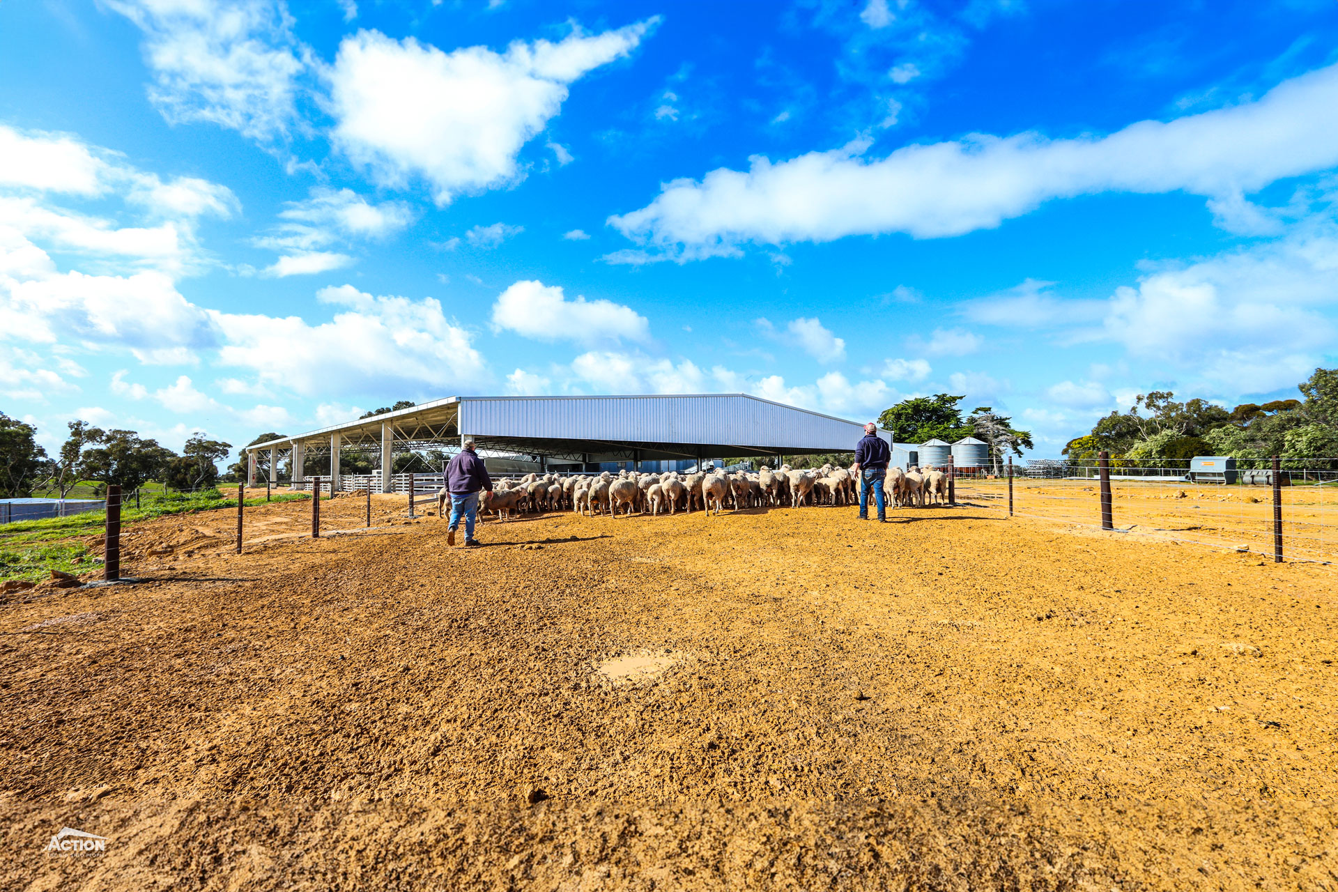You are currently viewing 45m x 30m x 3.5m sheep yard cover