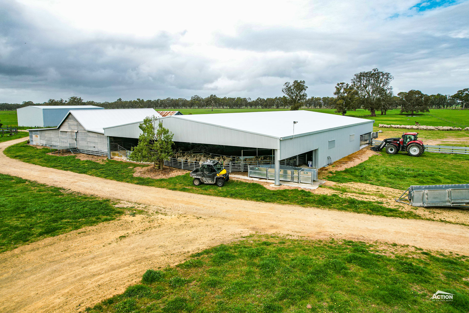 You are currently viewing 32m x 24m x 3.8m sheep yard cover