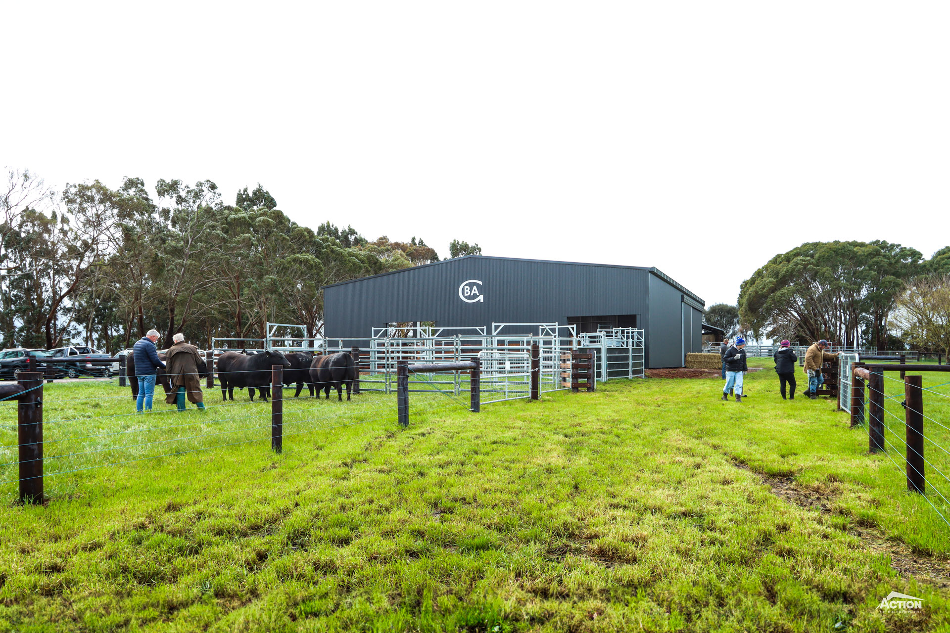 You are currently viewing 21m x 18m x 4.5m bull sale shed