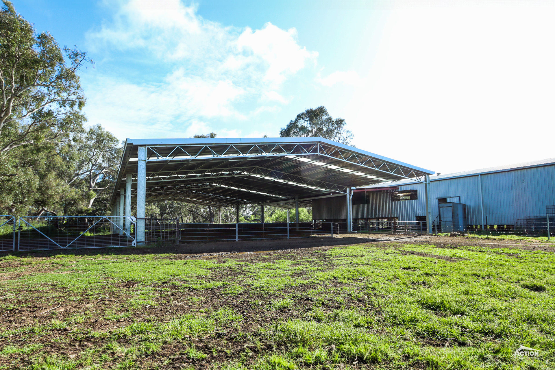 Sheep yard cover at Holbrook NSW