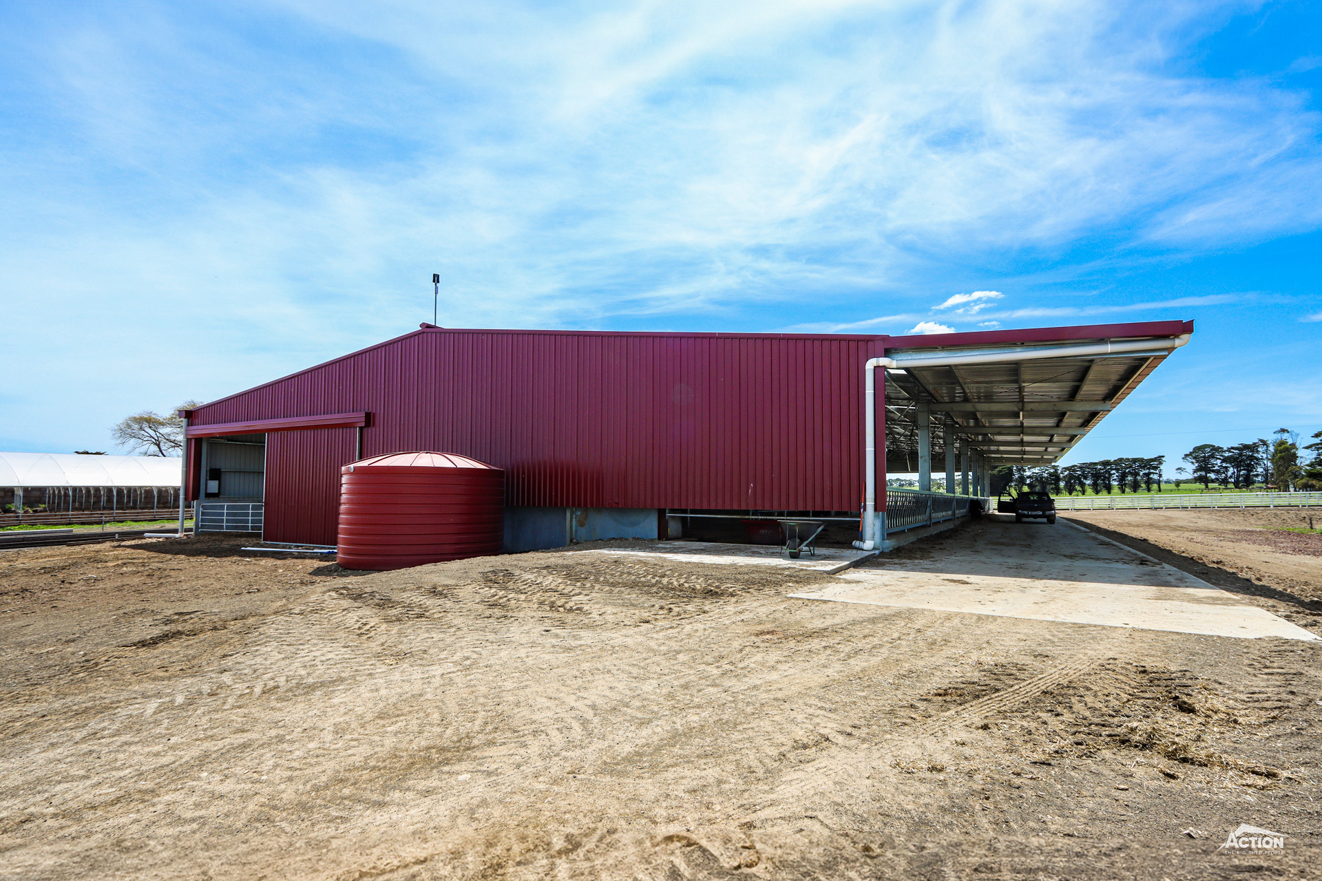 Colorbond calving shed
