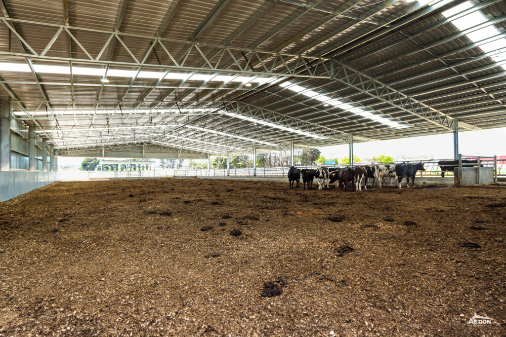 Calving shed with skylights