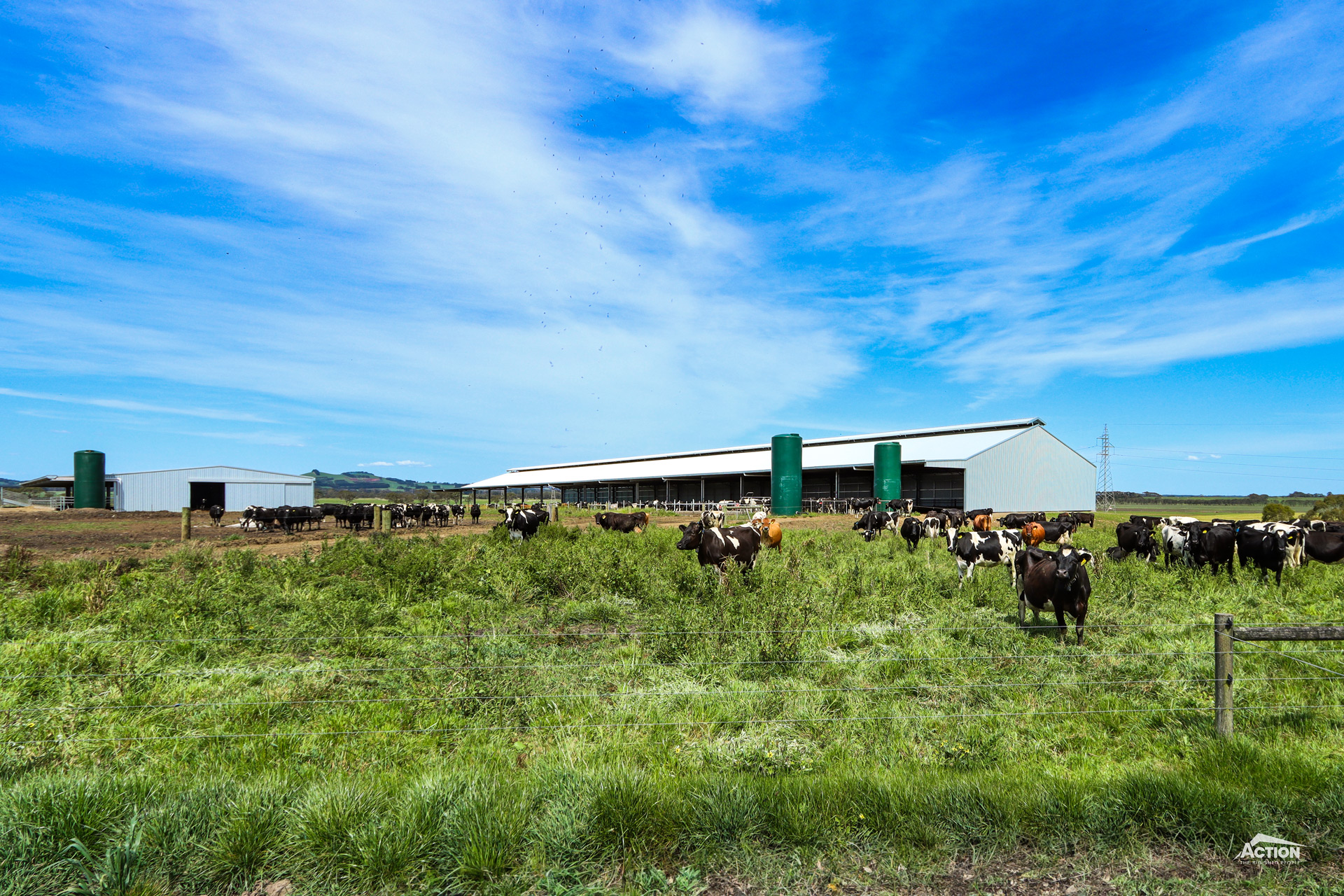 Read more about the article 127.5m x 24m x 5m loafing barn with 6m canopy