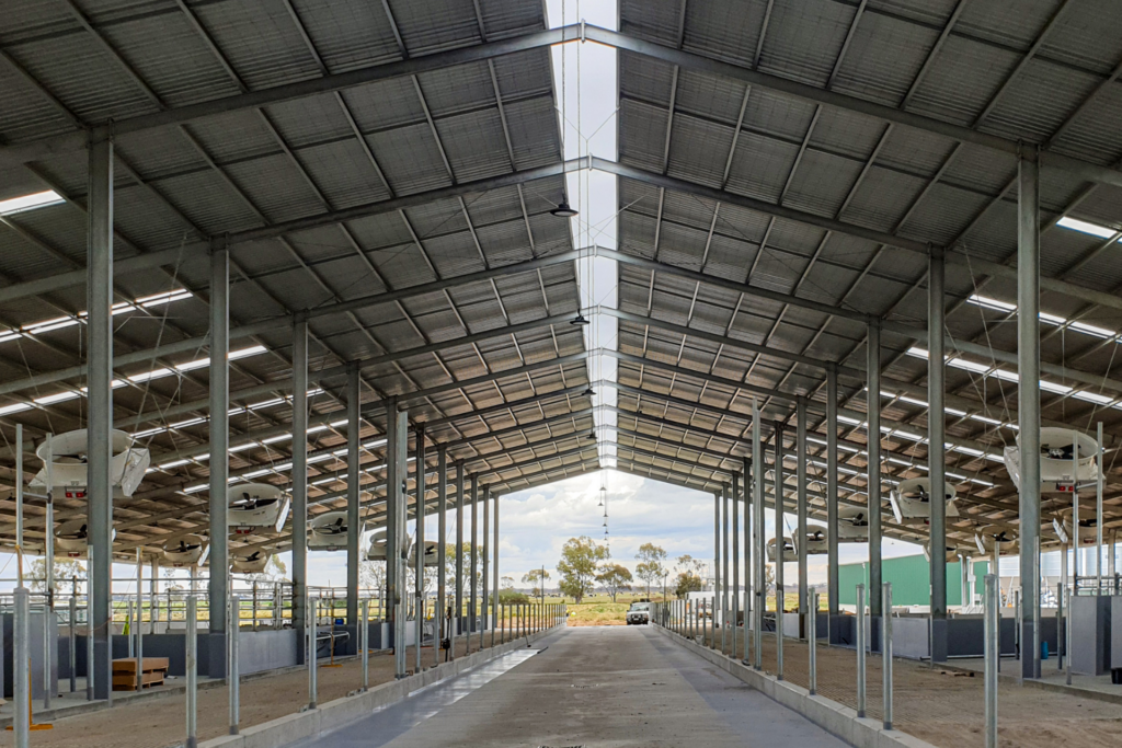 Clydevale Dairy Barn Project