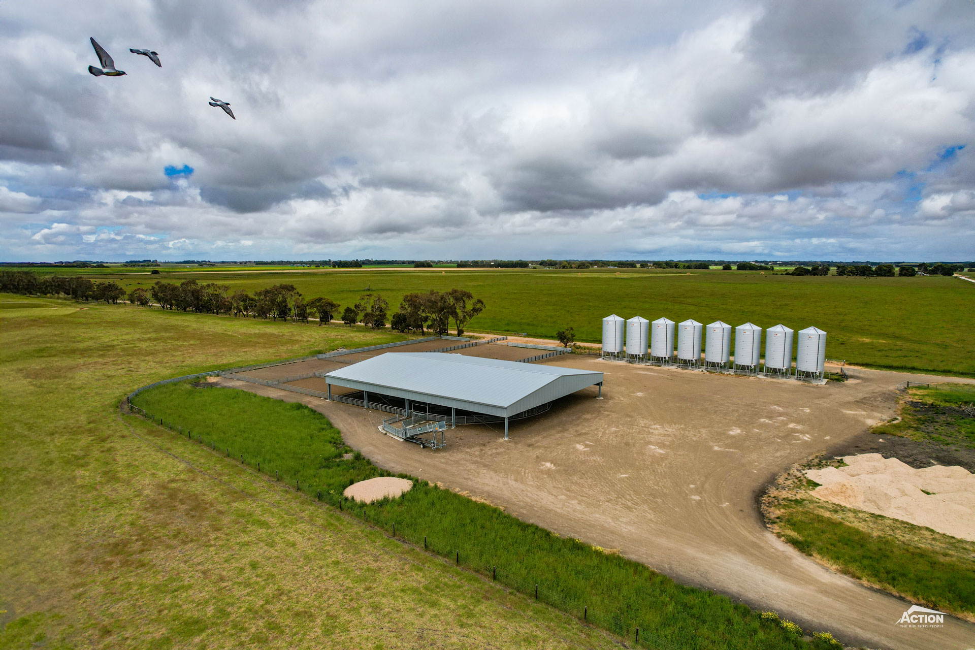 Read more about the article 36m x 27m x 4.2m sheep yard cover