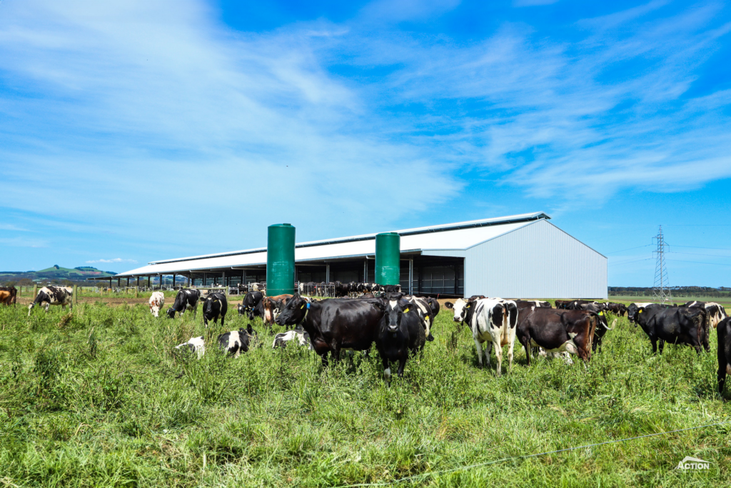 Dairy Barn Projects - 24 Metre Span Loafing Barn