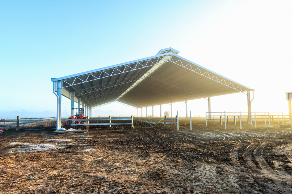 Dairy Barn Projects - Feed Pad Cover at Myall Gallery - 3