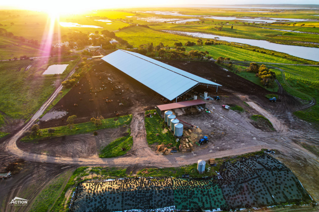 Dairy Barn Projects - Best Loafing Barn Orientation