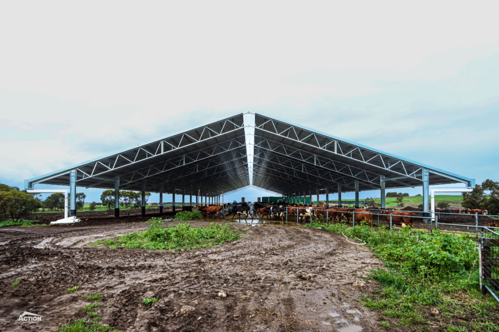 Dairy Barn Projects - covered feedpads at Meningie SA - Gallery 4