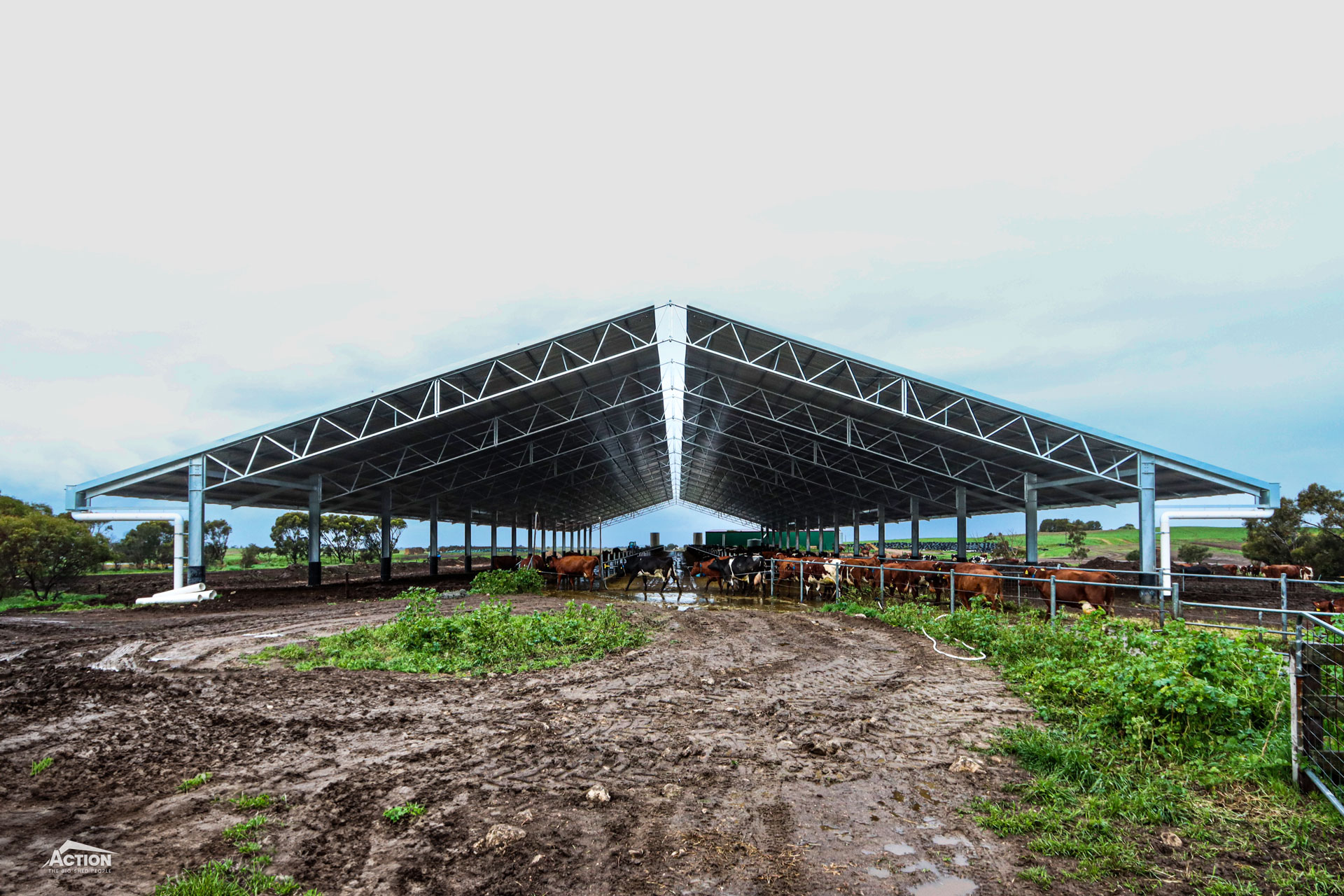 Dairy Barn Projects - covered feedpads at Meningie SA - Gallery 4
