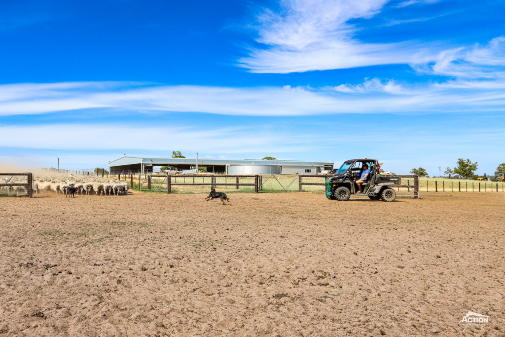 Jakabul Shearing Shed Gallery 3