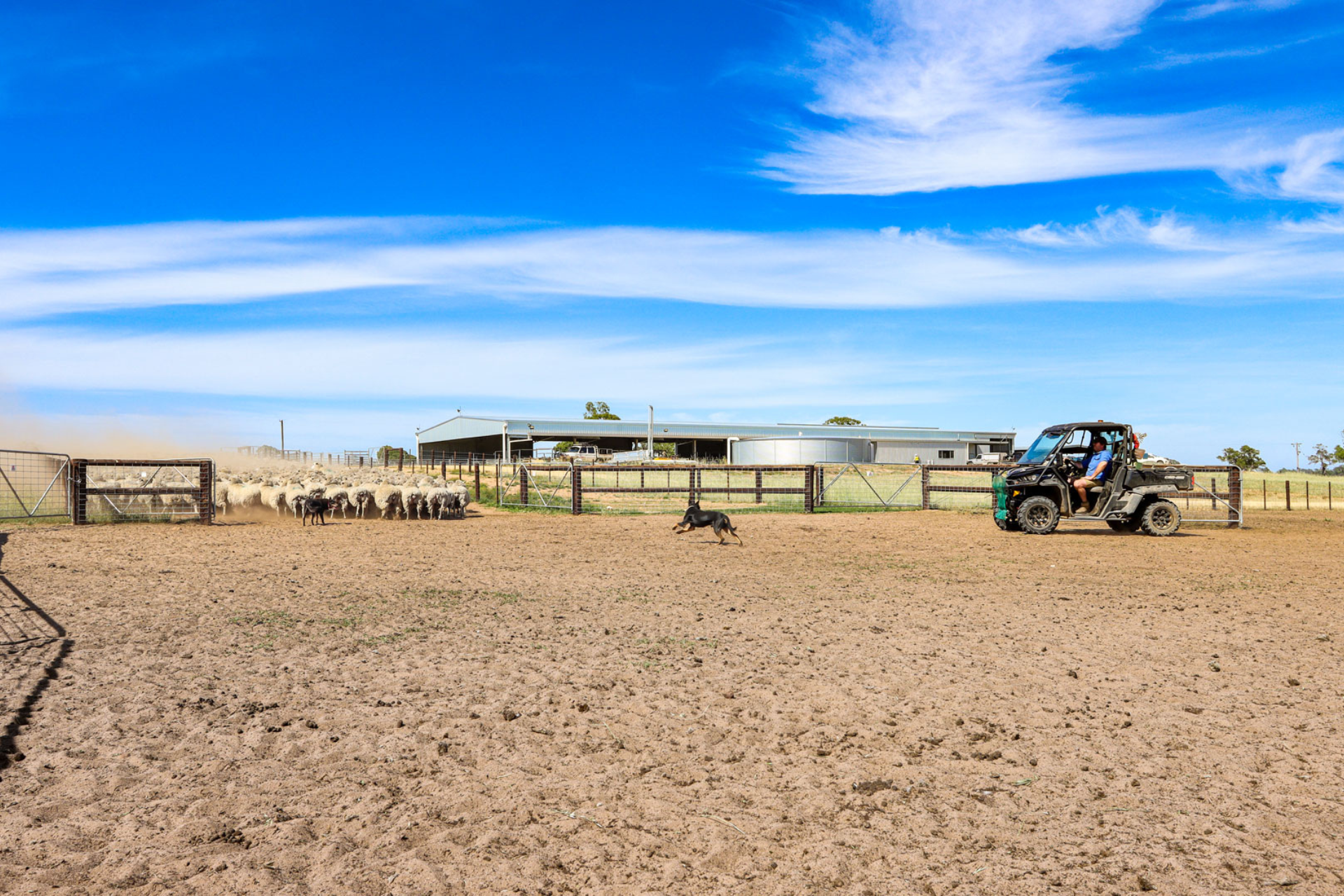 Jakabul Shearing Shed Complex