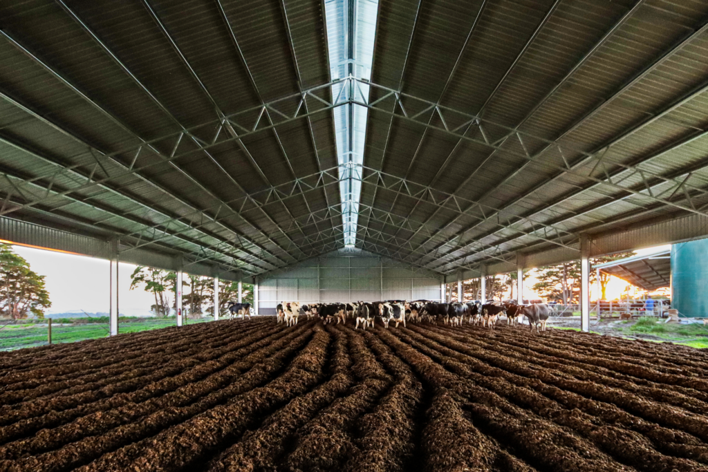 Loafing barn size