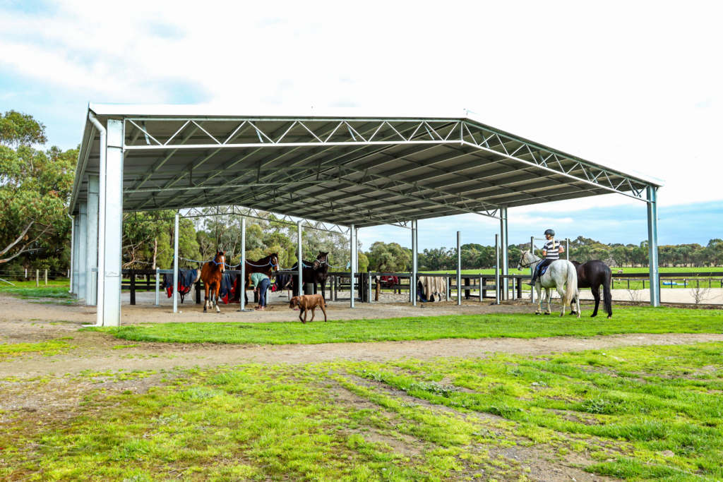 Cost to build a horse yard cover Roof only configuration horse arena cover