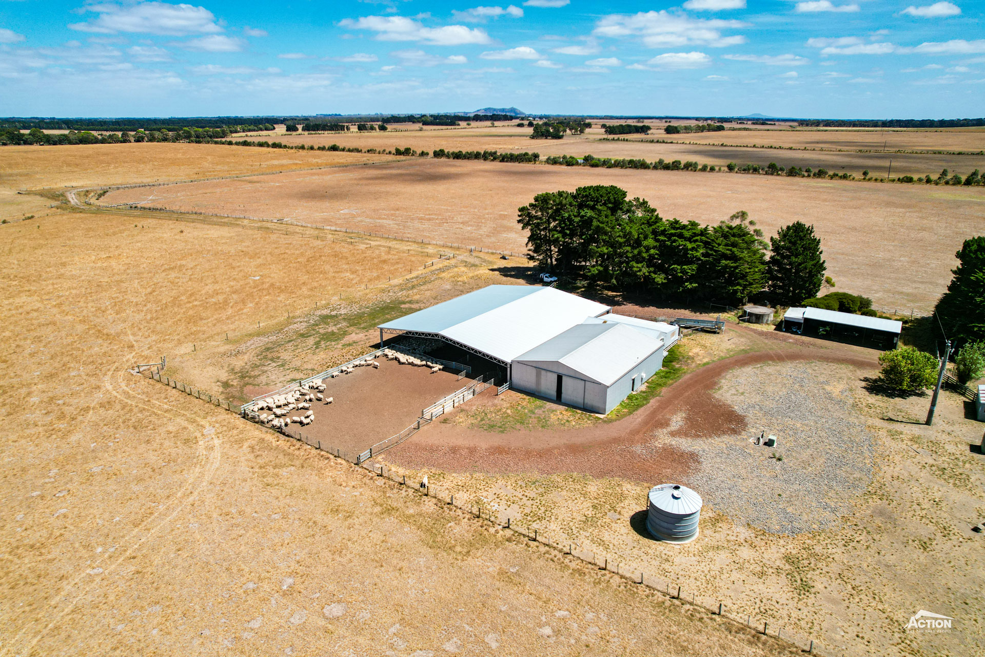 Read more about the article 30m x 24m x 3.3m sheep yard cover