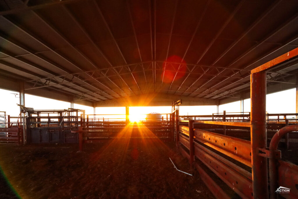 Loans for farm sheds in New South Wales - 24 metre span covered cattle yards - hay nsw