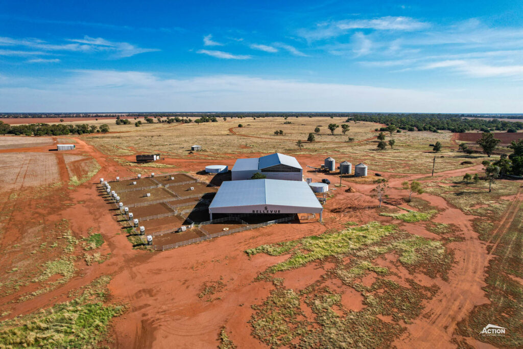 Bellevue sheep yard cover