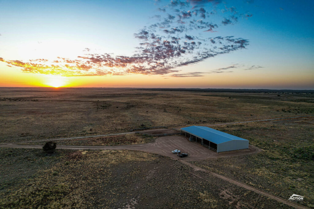 cattle yard cover at Hay NSW