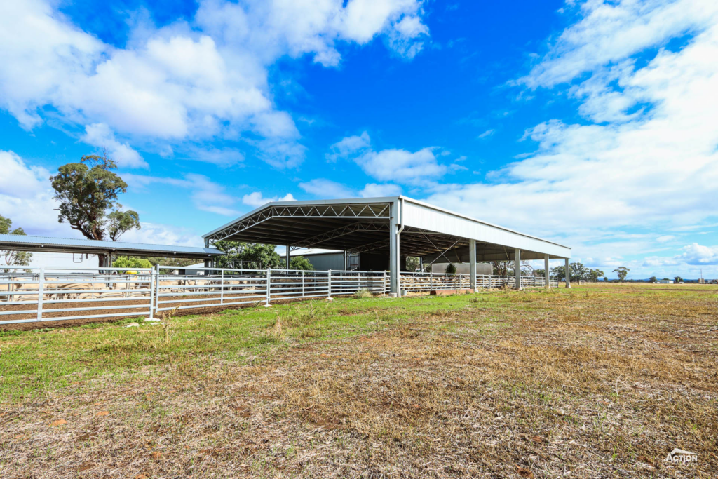 30m x 18m x 3.7m sheep yard cover at Woodstock West