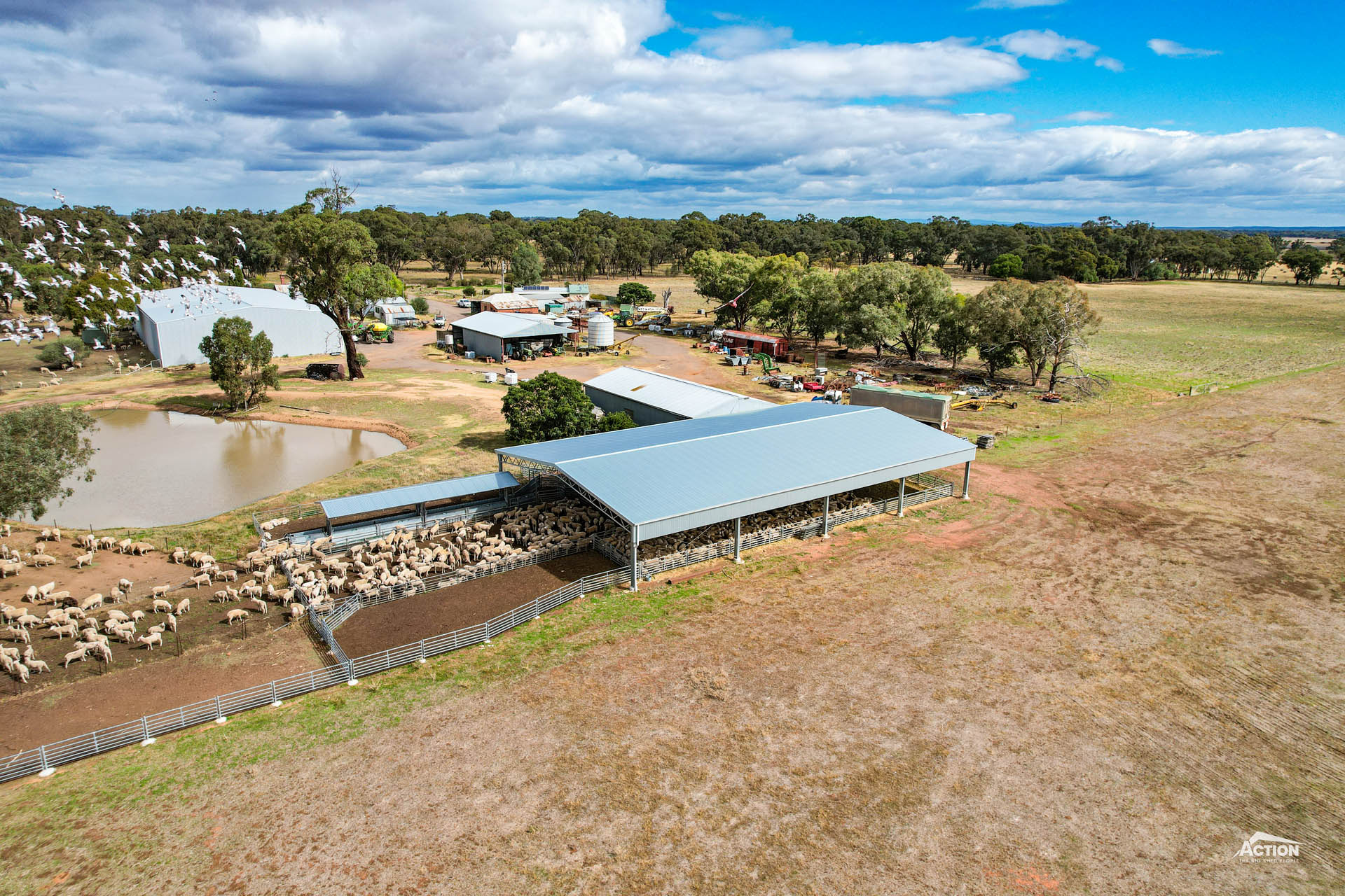 Read more about the article 30m x 18m x 3.7m sheep yard cover