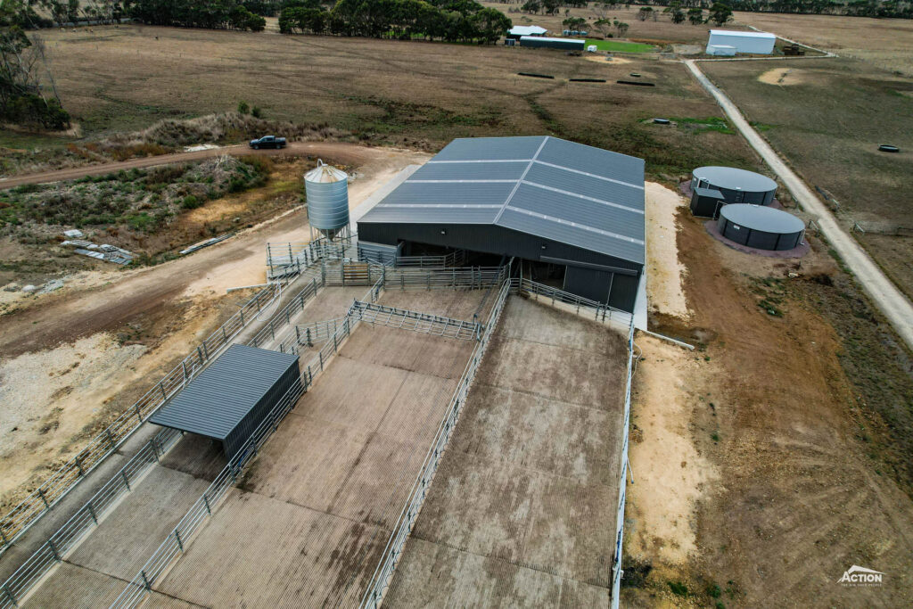 Dairy shed - grooved concrete