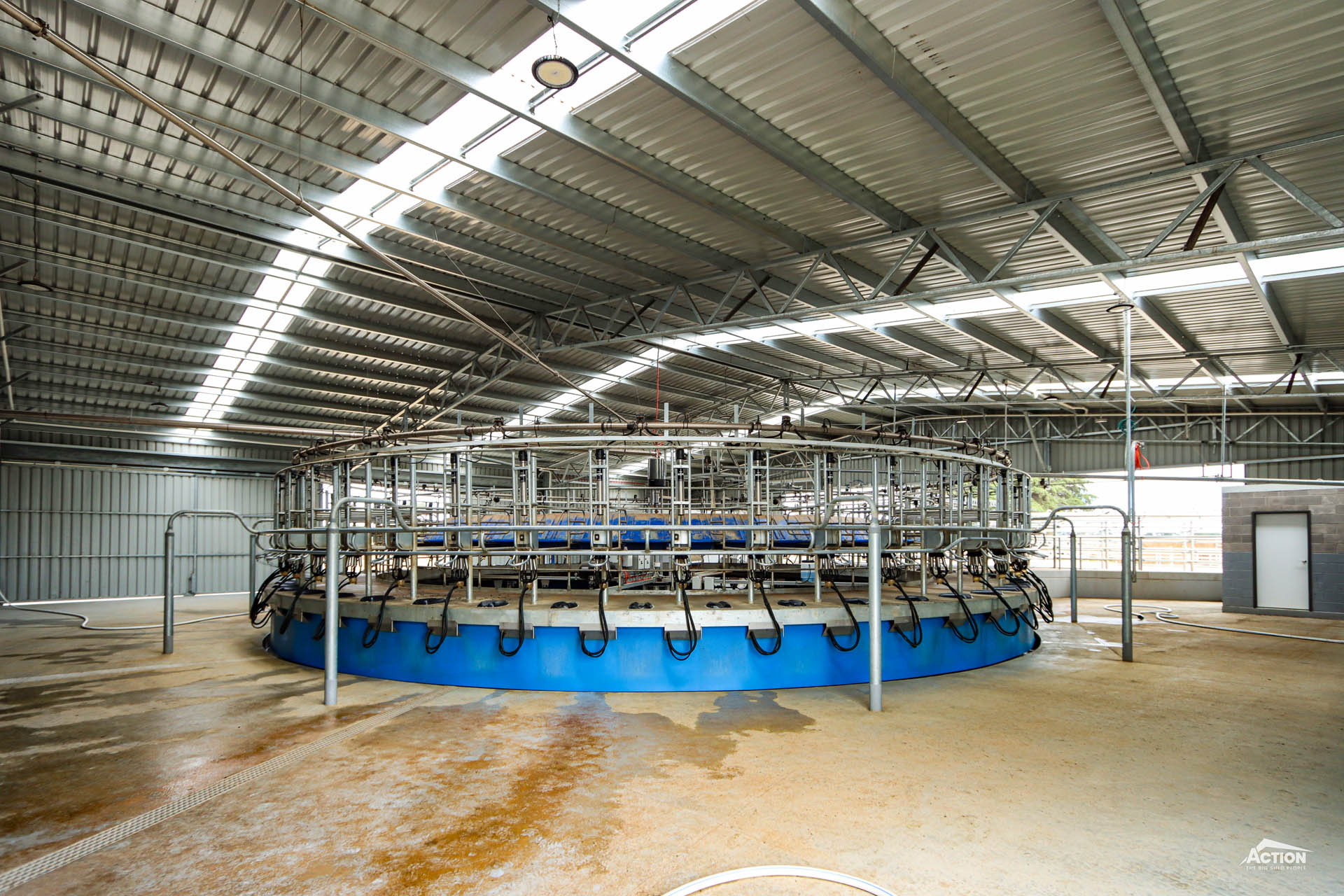 Rotary Dairy vs Herringbone Dairy