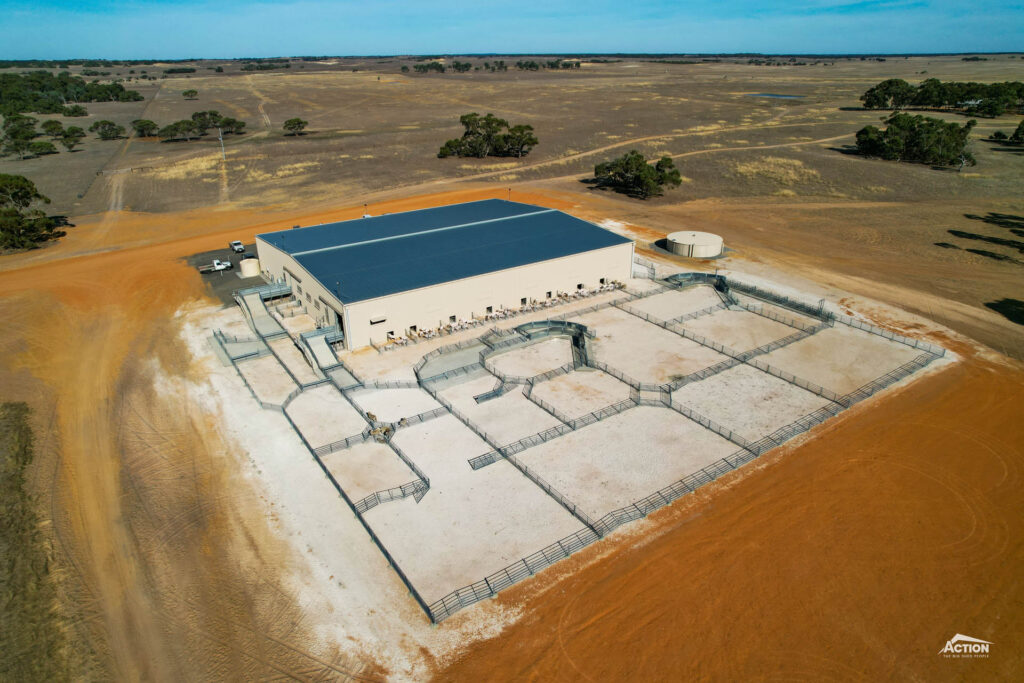 12-Stand-Shearing-Shed-At-Telopea-Downs