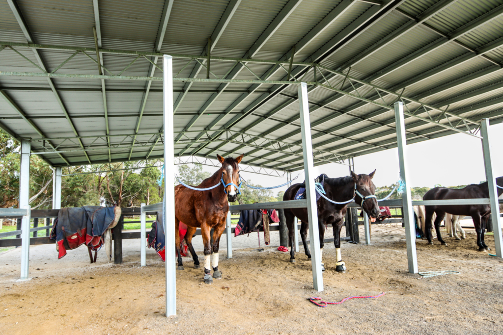 cost to build a horse yard cover