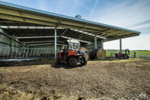 Calving shed with canopy over feed alley, building a calving shed