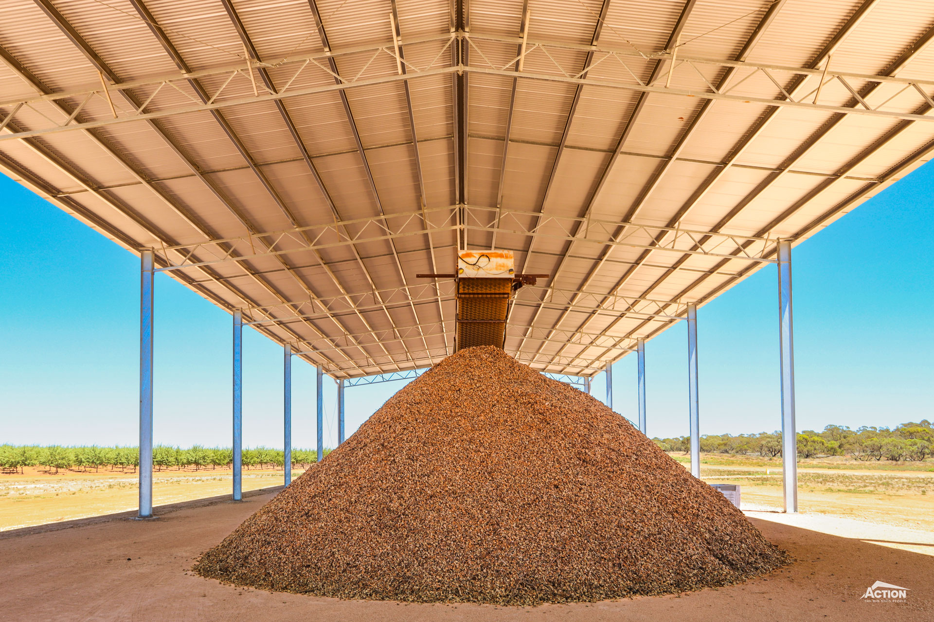airing shed cost