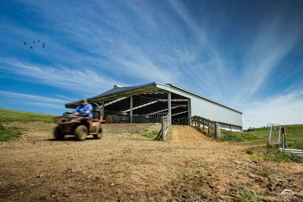 calving shed with canopy on gable end