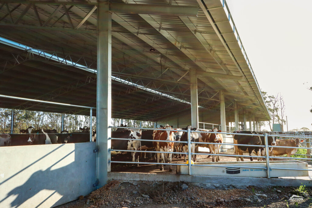 canopy on loafing barn