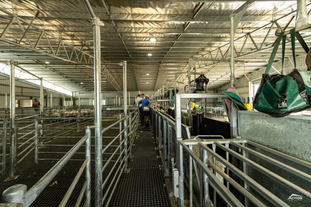 ProWay Shearing Shed Open day